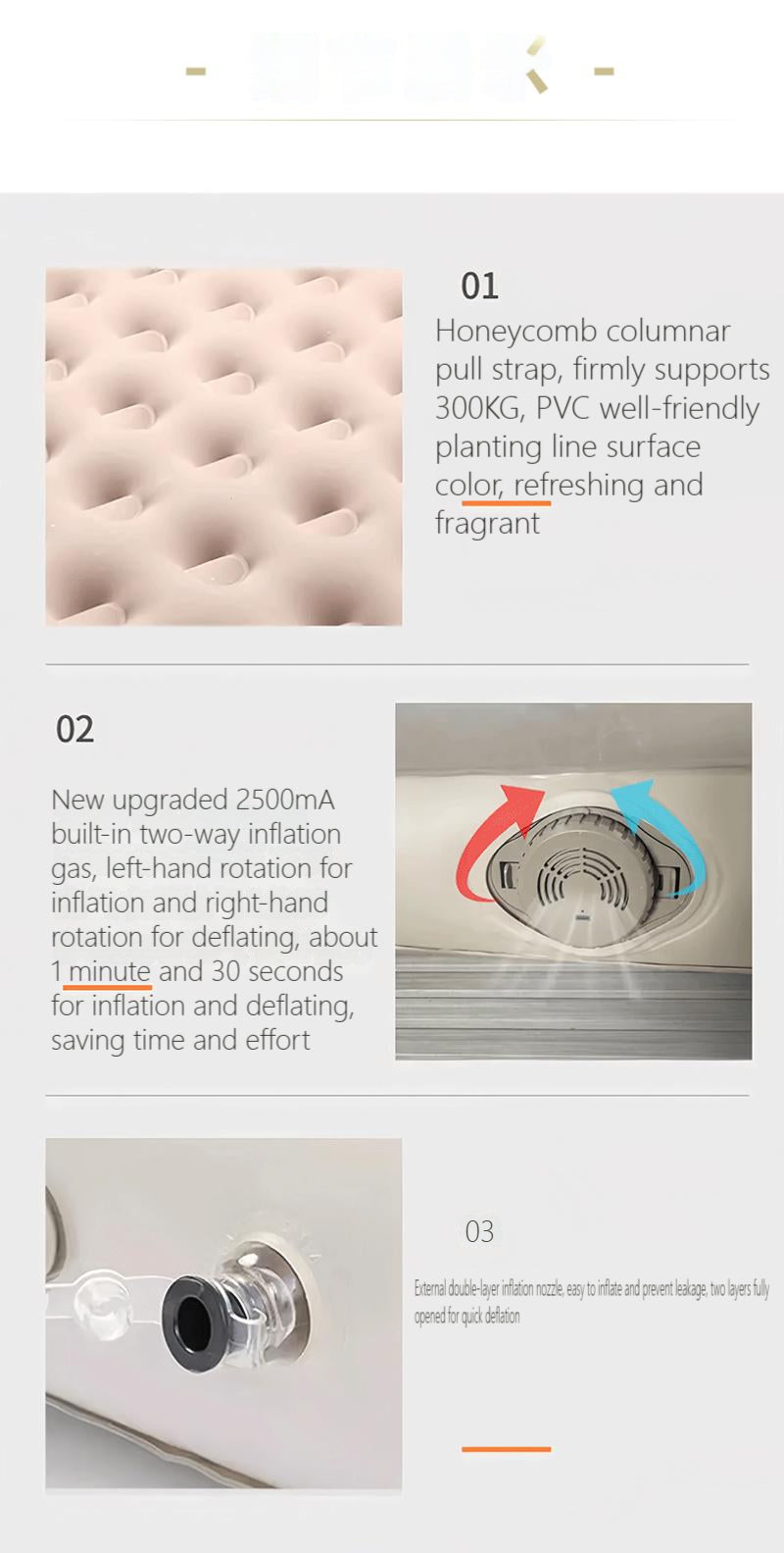 2-Person Inflatable Air Mattress