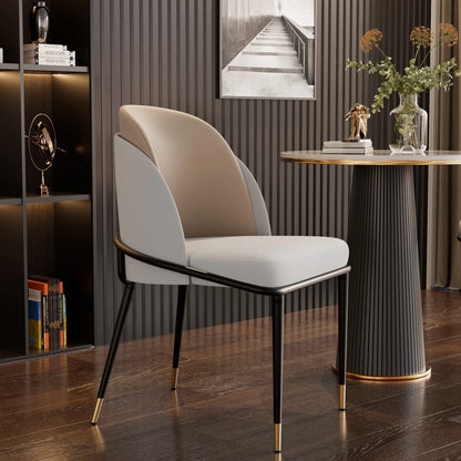 Luxury Dining Chairs 2 Pcs Set